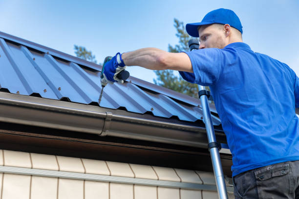Best Roof Insulation Installation  in Acres Green, CO