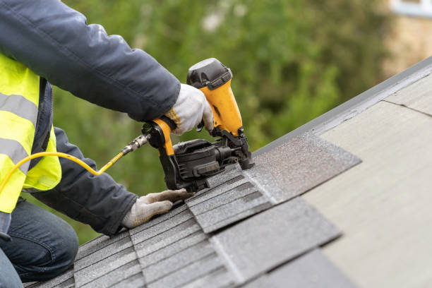 Best Roof Maintenance and Cleaning  in Acres Green, CO