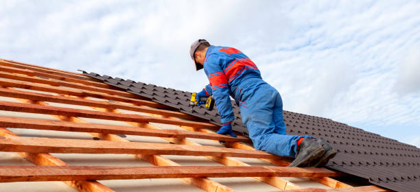 Best Sheet Metal Roofing  in Acres Green, CO