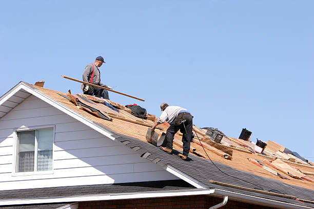 Best Wood Shake Roofing  in Acres Green, CO
