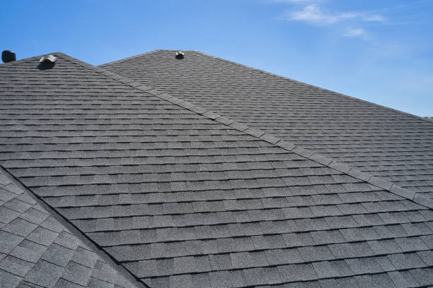 Roof Insulation in Acres Green, CO